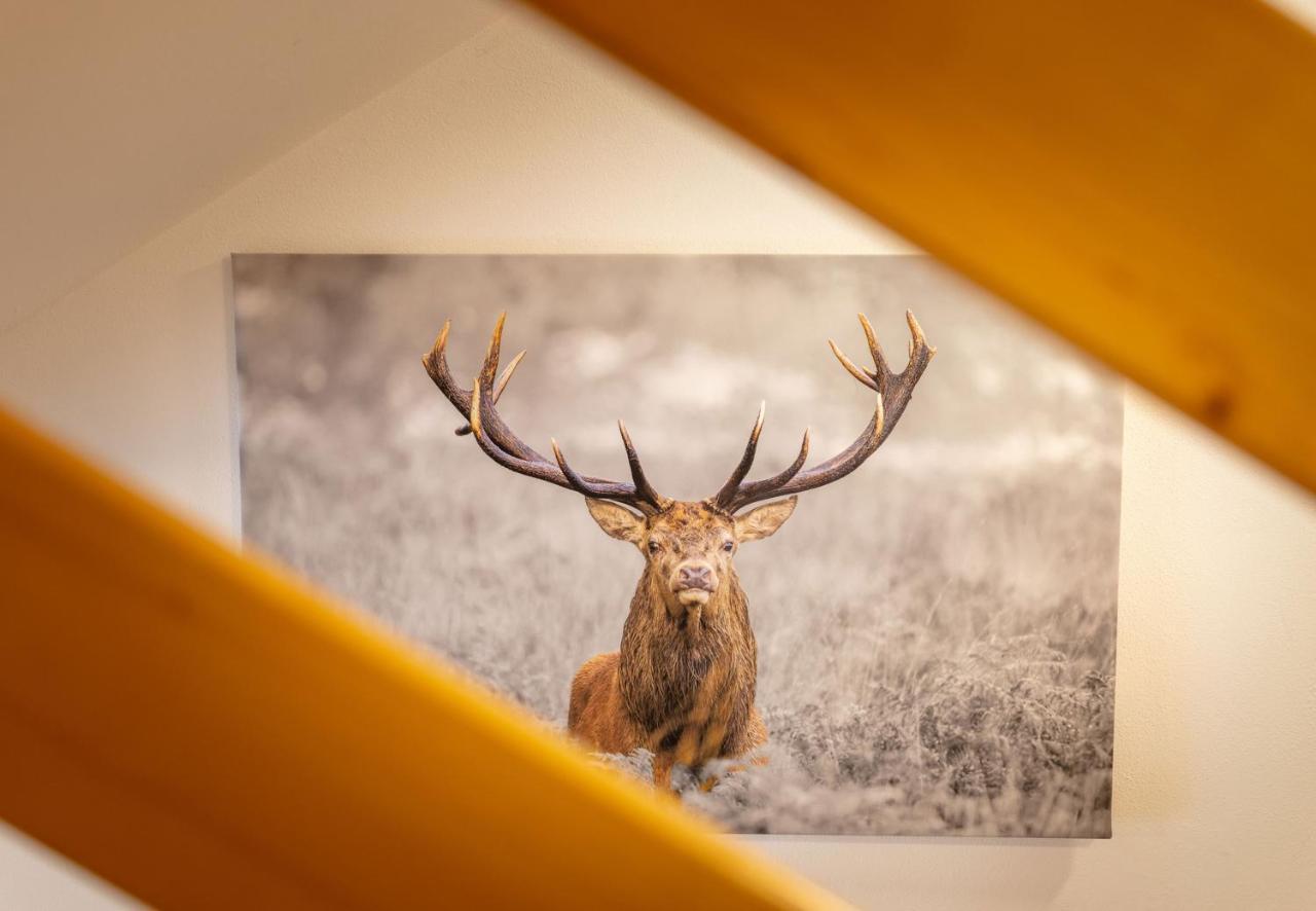 Apartmenthaus Matri By Pferd Auf Wolke Wald am Arlberg Esterno foto
